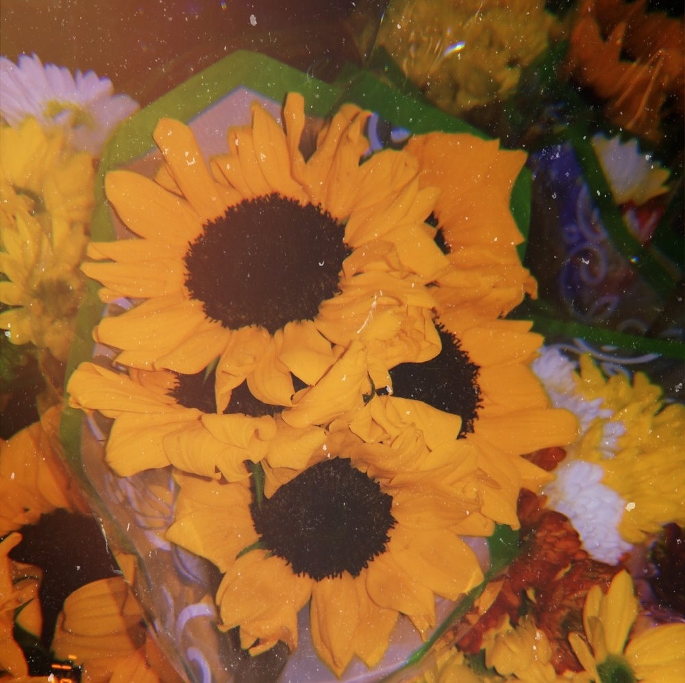 Meet your Posher, Leeza